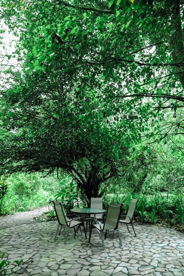 Sarapiquis Rainforest Lodge מראה חיצוני תמונה