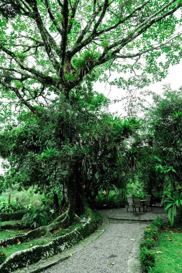 Sarapiquis Rainforest Lodge מראה חיצוני תמונה
