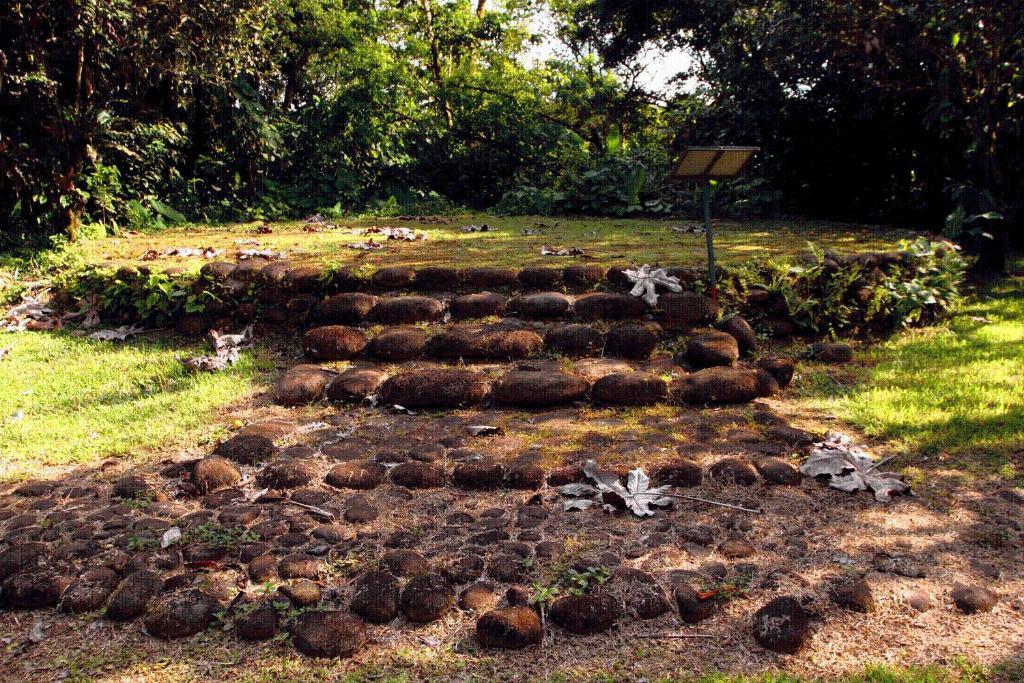 Sarapiquis Rainforest Lodge מראה חיצוני תמונה