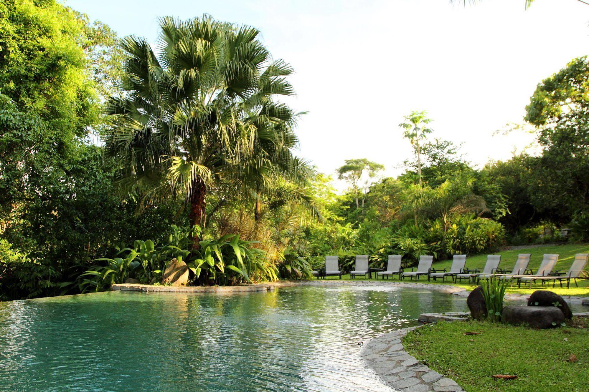 Sarapiquis Rainforest Lodge מראה חיצוני תמונה