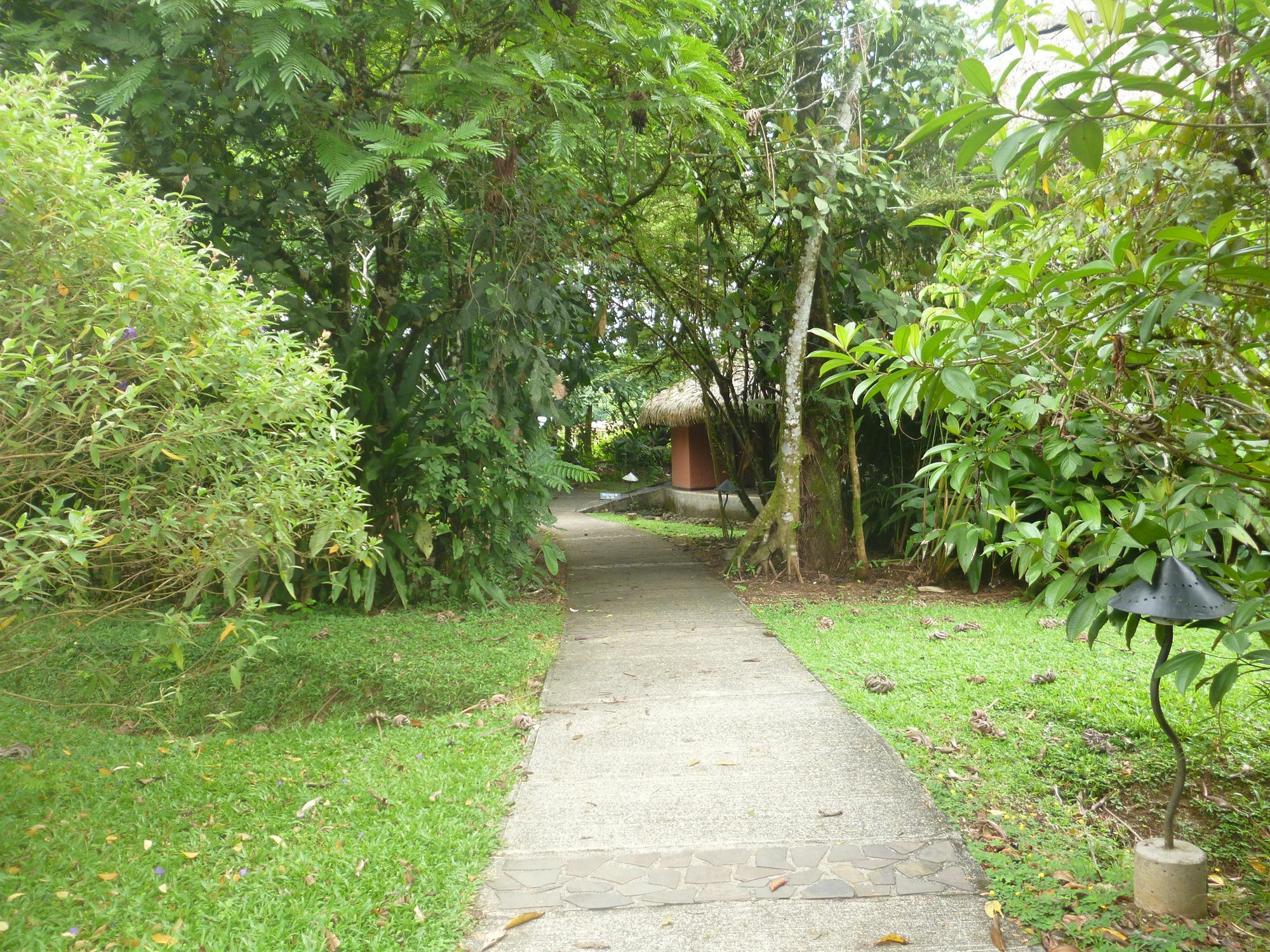 Sarapiquis Rainforest Lodge מראה חיצוני תמונה