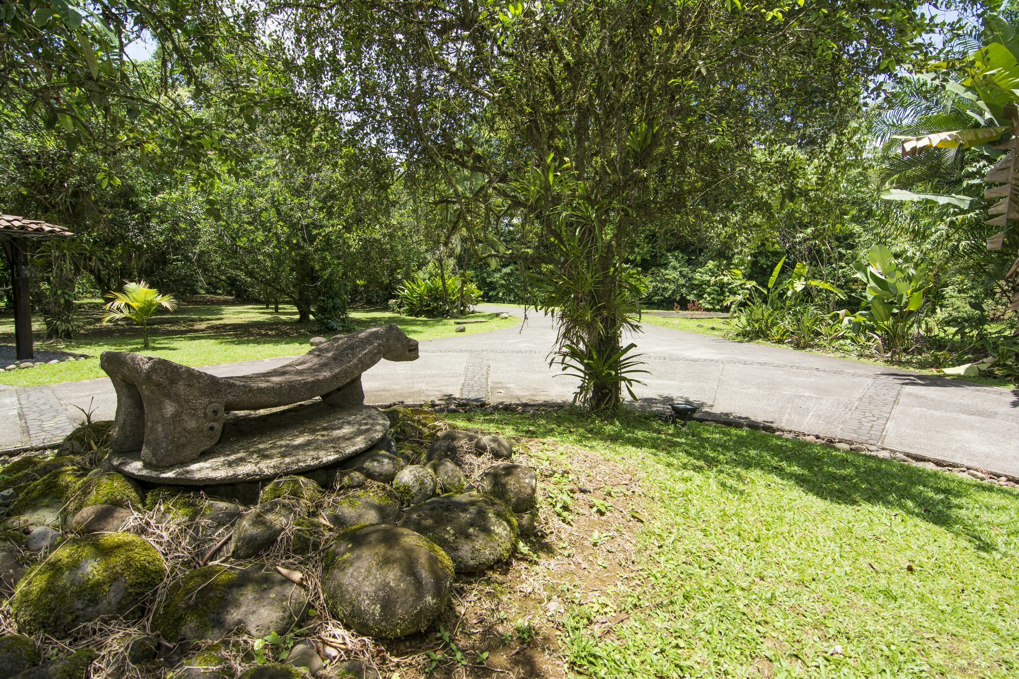 Sarapiquis Rainforest Lodge מראה חיצוני תמונה