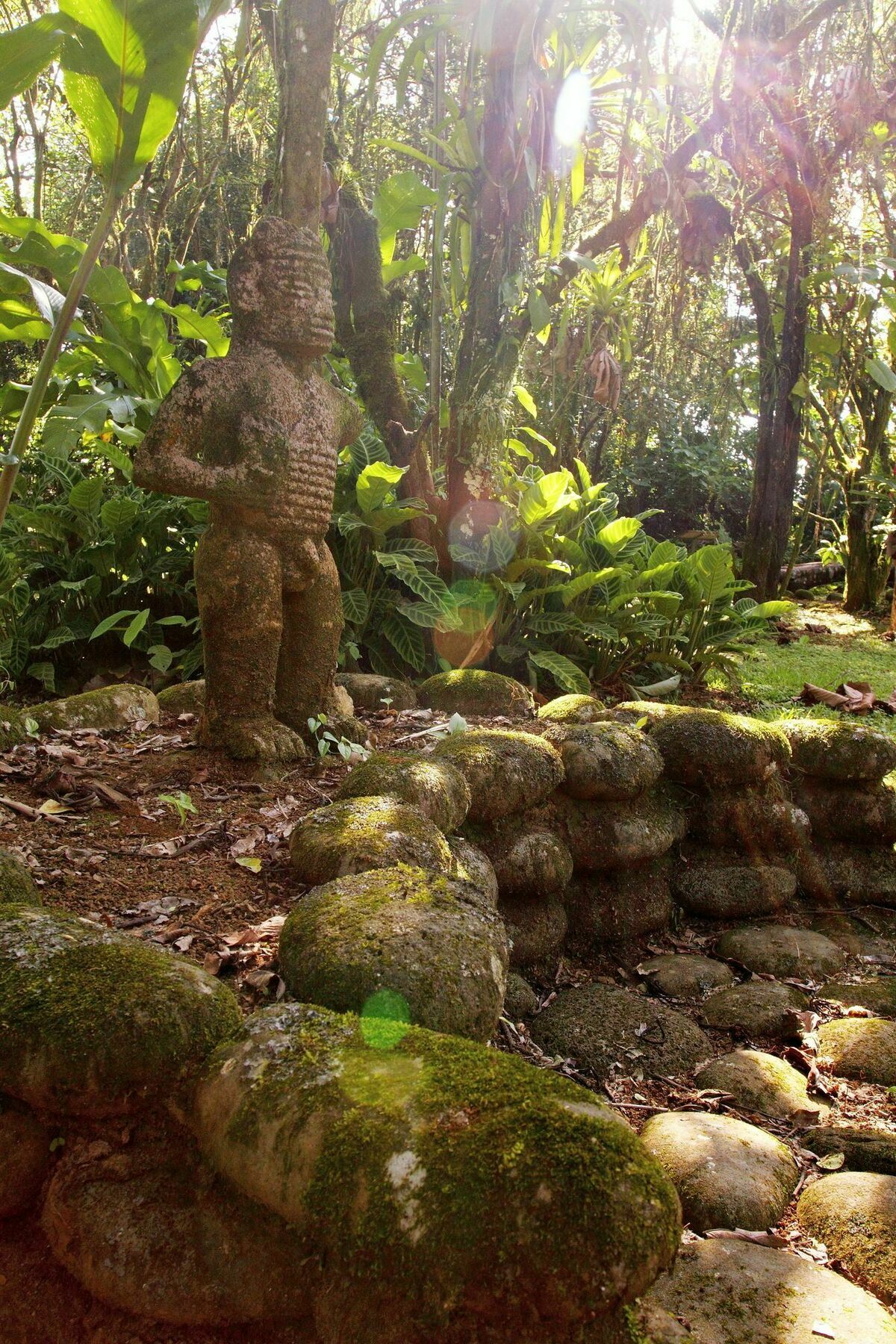 Sarapiquis Rainforest Lodge מראה חיצוני תמונה