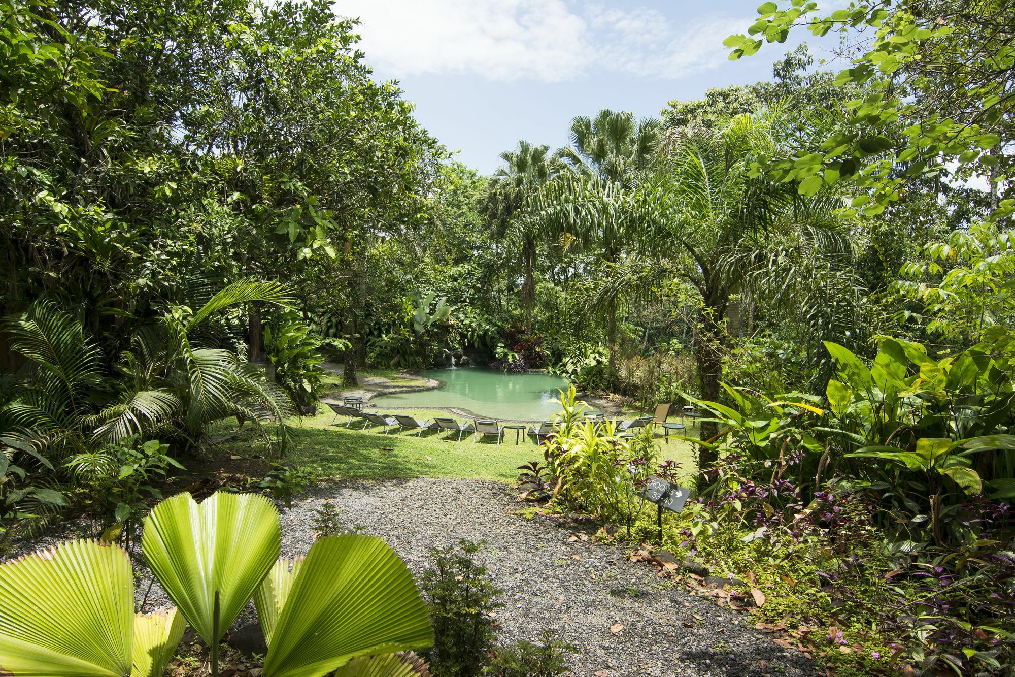 Sarapiquis Rainforest Lodge מראה חיצוני תמונה