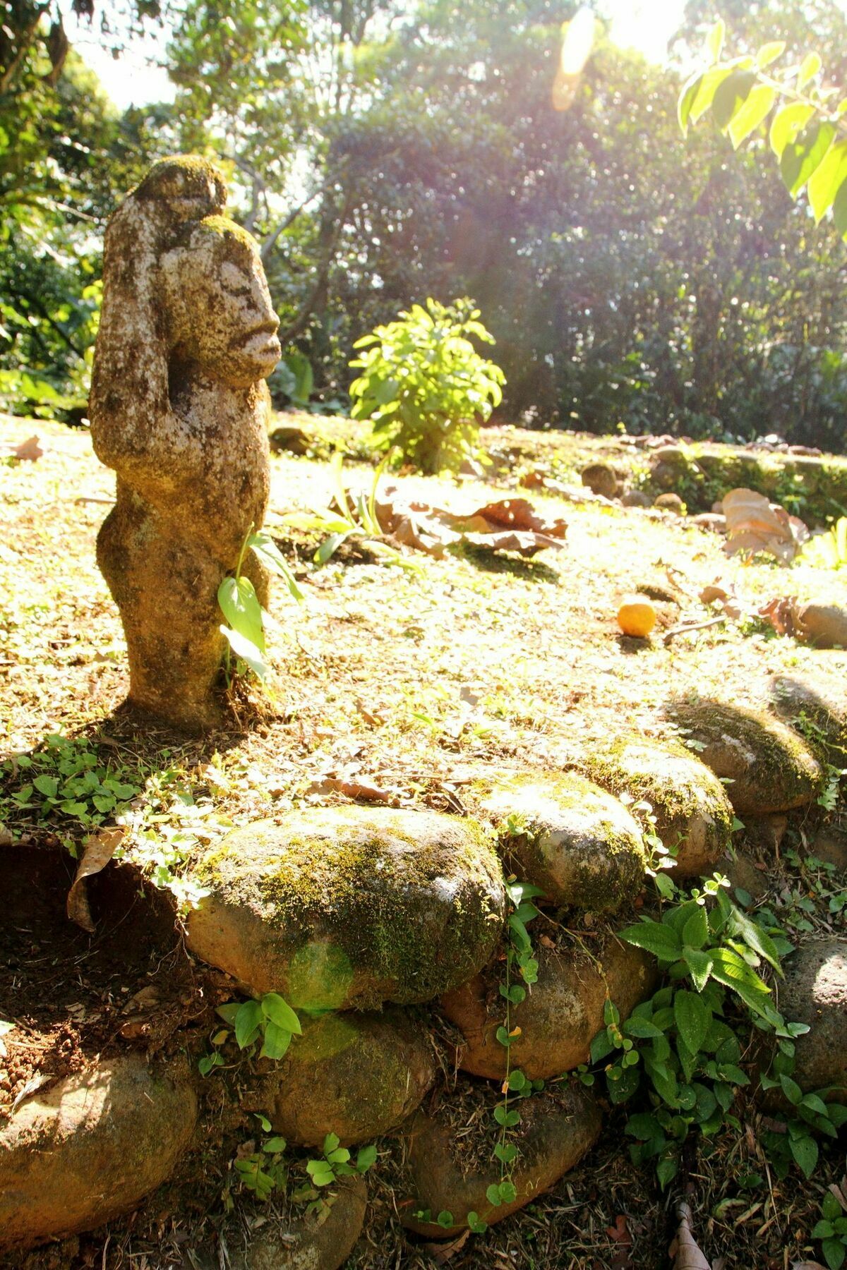 Sarapiquis Rainforest Lodge מראה חיצוני תמונה